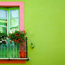 geranium, Balcony, Flowers