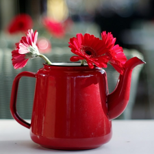 gerberas, jug, Red, Flowers, decoration