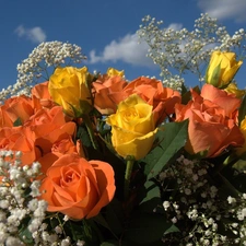 Flowers, roses, Gipsówka, bouquet