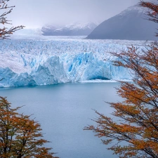 glacier, Argentina, trees, viewes, Perito Moreno, Los Glaciares National Park