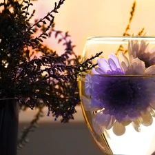 glass, heather, Flowers