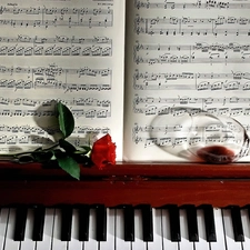 rose, Piano, glass, Tunes