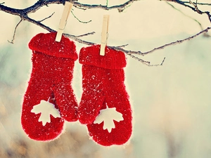 Gloves, twig, Staples