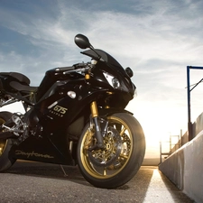 @, Triumph Daytona 675 SE, Golden