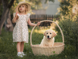 basket, girl, Puppy, Golden Retriever, dog, Hat