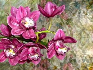 Flowers, graphics, Colorful Background, orchids