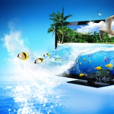 seagull, Ocean, graphics, Computer, fishes, monitor