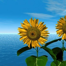 graphics, Computer, sea, Nice sunflowers, Sky