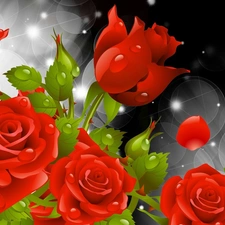 drops, Red, graphics, Computer, water, roses