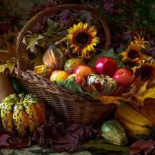 wicker, apples, Leaf, Nice sunflowers, pumpkin, basket, graphics