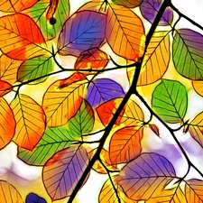 graphics, color, Leaf