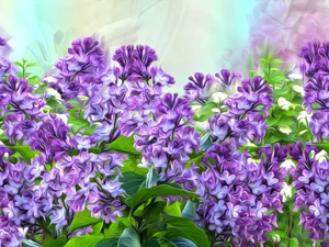 graphics, Flowers, without