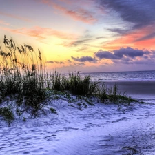 clouds, Beaches, grass, sea