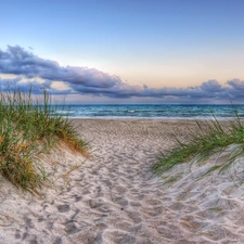 clouds, Beaches, grass, sea