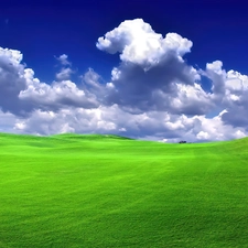 grass, Meadow, clouds
