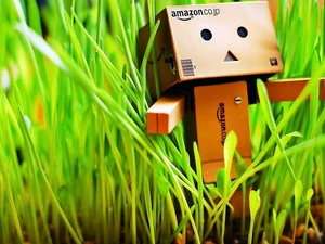 Danbo, In The Grass