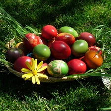 eggs, grass