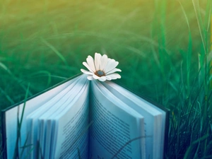 grass, Book, Flower