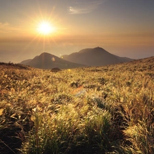 rays, Mountains, grass, sun