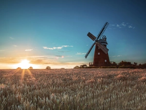 dry, grass, rays, sun, Windmill