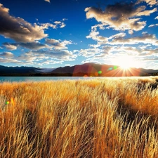 west, rays, grass, sun