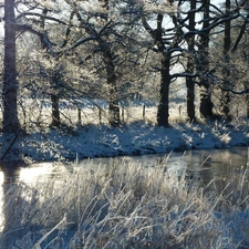 grass, winter, trees, viewes, River