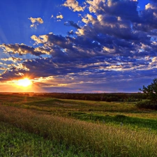 Field, clouds, Great Sunsets, Sky