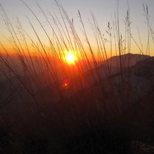 grass, Mountains, Great Sunsets