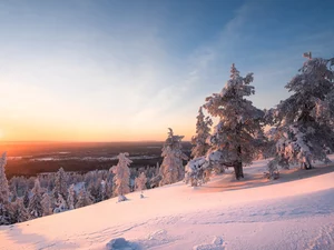 Great Sunsets, trees, Lapland, viewes, winter, Riisitunturi National Park, Finland