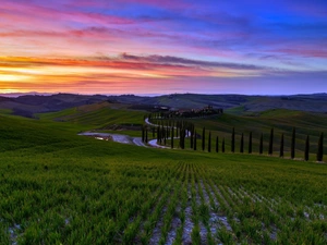 Tuscany, Italy, The Hills, trees, Way, Great Sunsets, cypresses, Houses, viewes