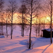 trees, snow, Great Sunsets, viewes