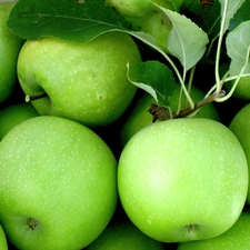 green ones, apples