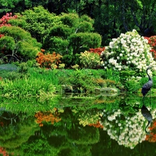 Flowers, green, heron, Park, birds, Pond, Garden, Spring