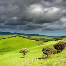 green ones, medows, dark, clouds, Way