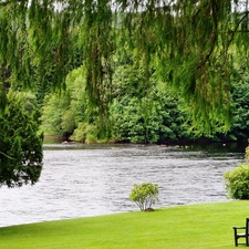 Park, Bench, green, lake