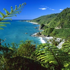 New Zeland, Sea Mountain, green