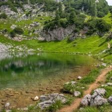 green, rocks, water