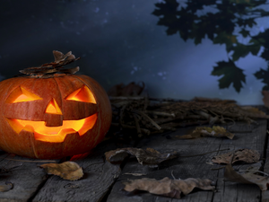 Night, halloween, boarding, Leaf, pumpkin