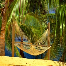 Hammock, Palms, Beaches