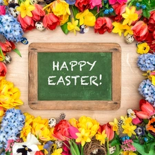 Sockets, Flowers, Tulips, text, Daffodils, pansies, plate, boarding, Happy Easter, Easter, eggs, Hyacinths, Spring