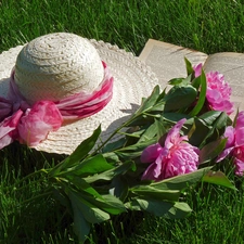 Hat, Peonies, Book