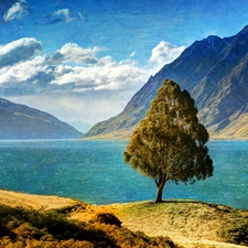 hawea, New Zeland, trees, Mountains, lake