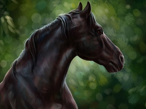 Horse, picture, watercolor, head