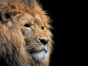 Head, Fractalius, Lion