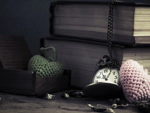 rag, Watch, Books, heart