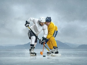 hockey, Hockey Players