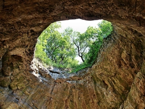 cave, trees, viewes, hole