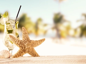 starfish, Drink, Sand, holiday, Shells, Mojito