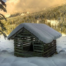 Home, winter, Fog, forest, Mountains