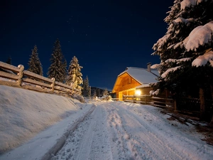 Home, winter, trees, viewes, Way